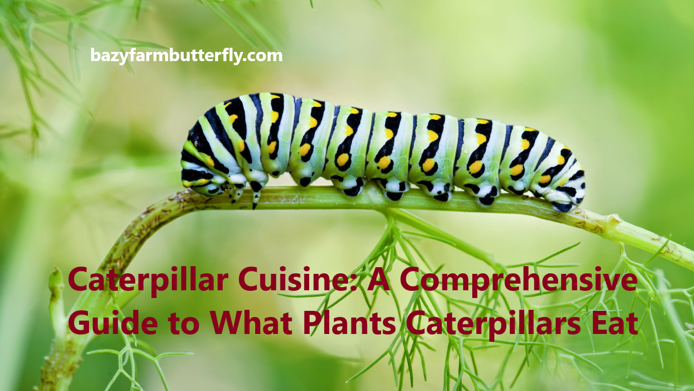 what plants do caterpillars eat