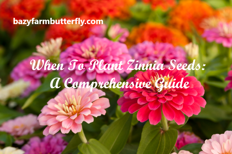 When To Plant Zinnia Seeds A Comprehensive Guide