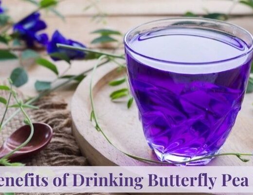 6 Benefits of Drinking Butterfly Pea Tea