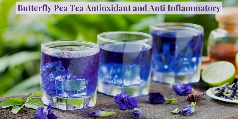 Butterfly Pea Tea Antioxidant and Anti Inflammatory