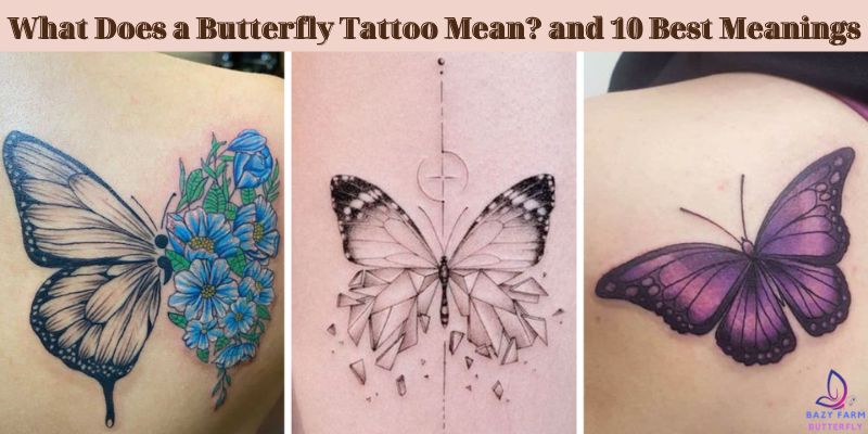 What Does a Butterfly Tattoo Mean_ and 10 Best Meanings