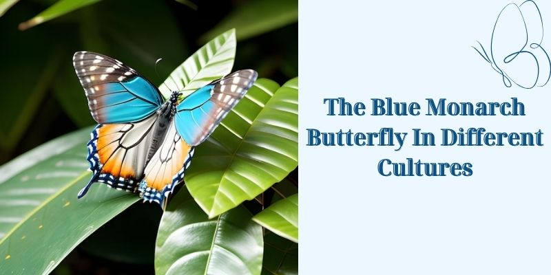 The Blue Monarch Butterfly In Different Cultures