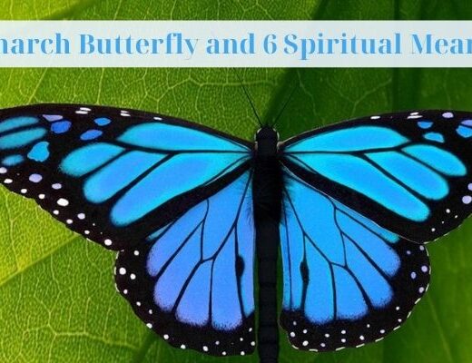 Blue Monarch Butterfly and 6 Spiritual Meaning Best