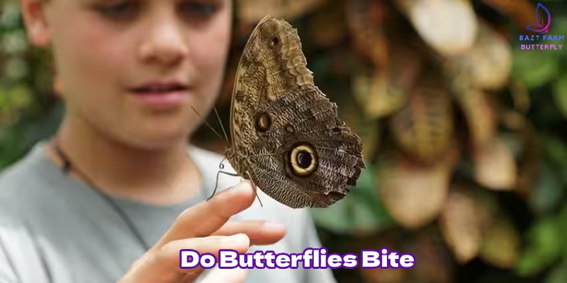 Are butterflies harmful?